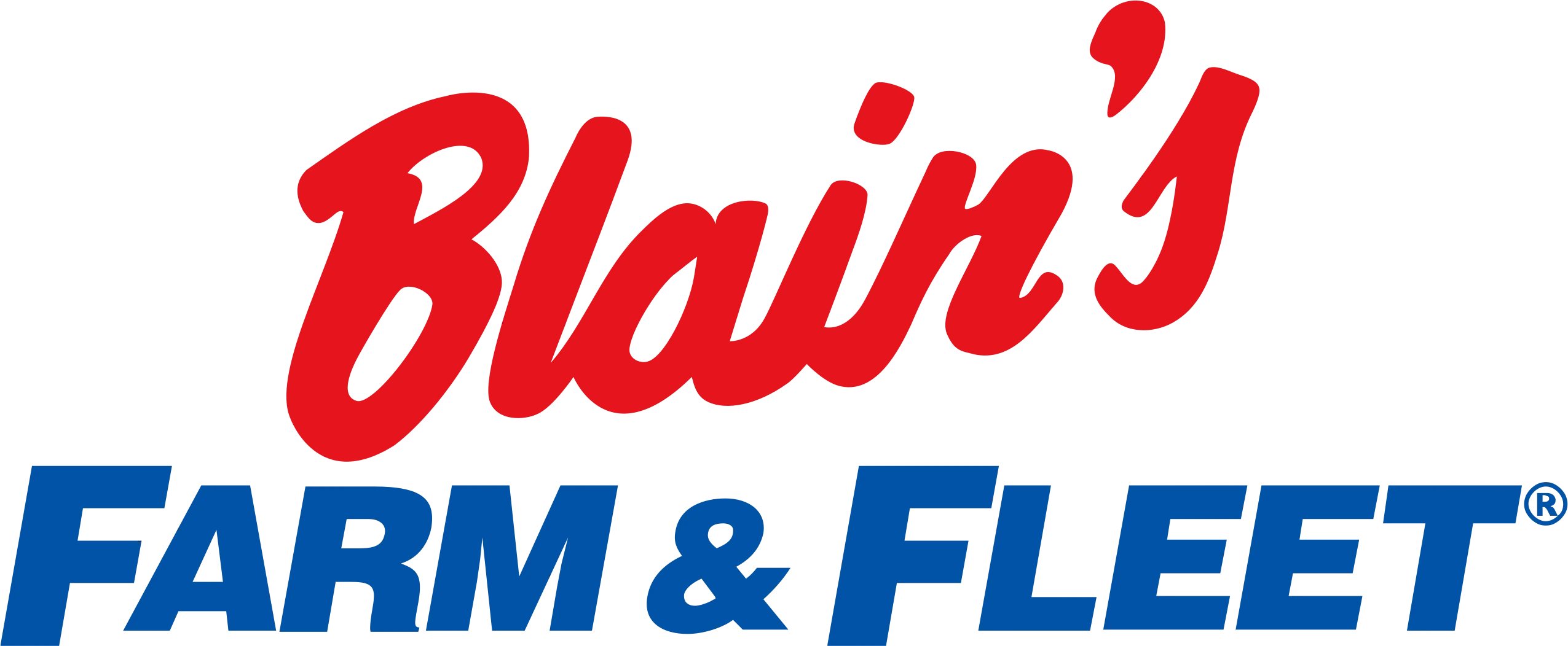 Blain's Farm & Fleet