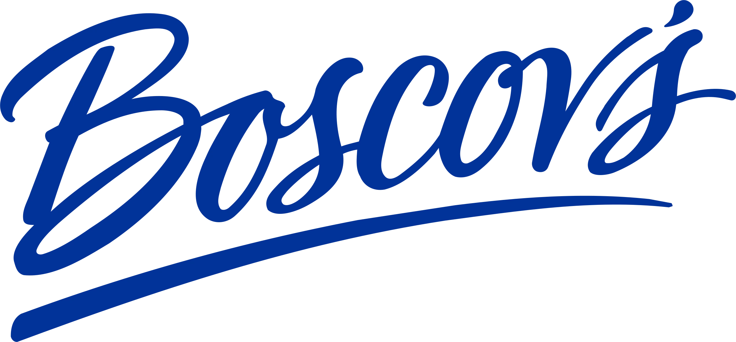 Boscov's